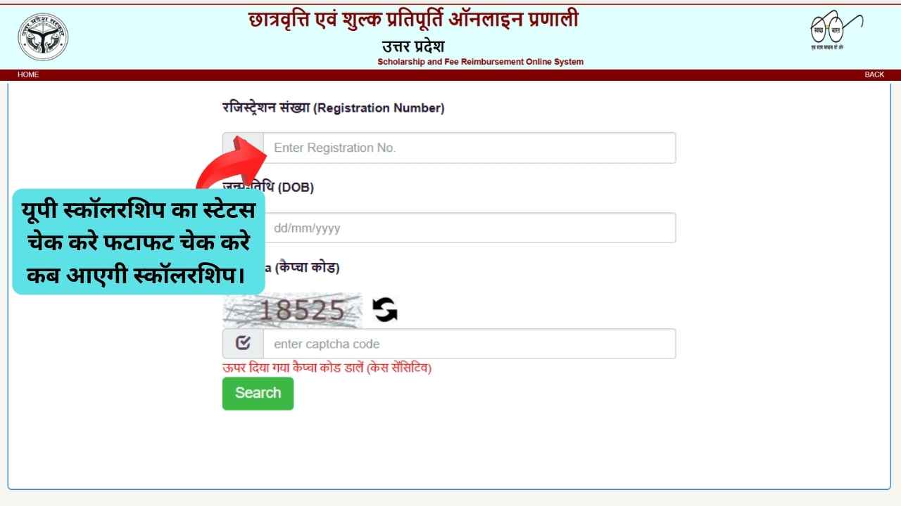 UP Scholarship Status