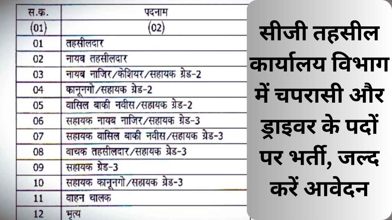 Tehsil Office Chaprasi Driver Vacancy 2025