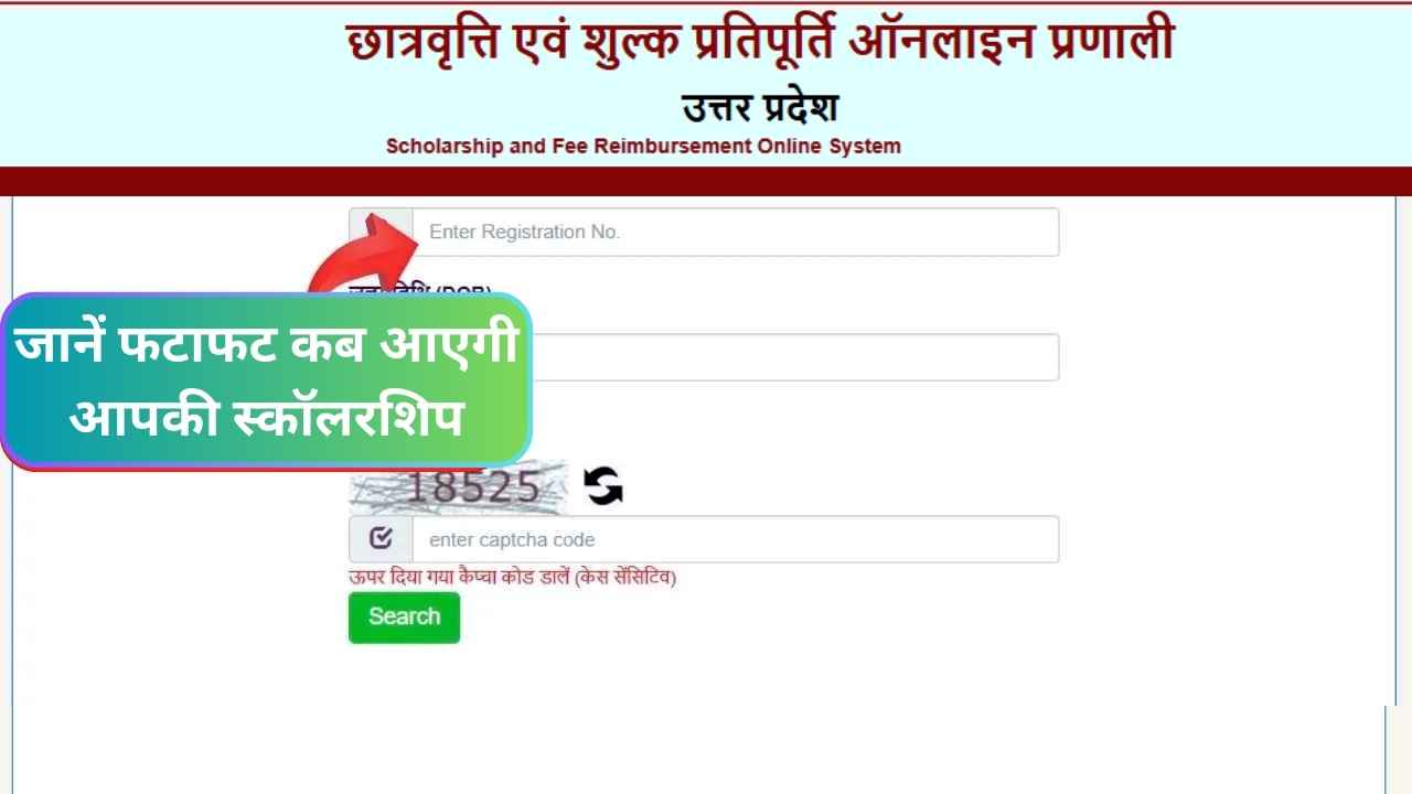 UP Scholarship Status 2024